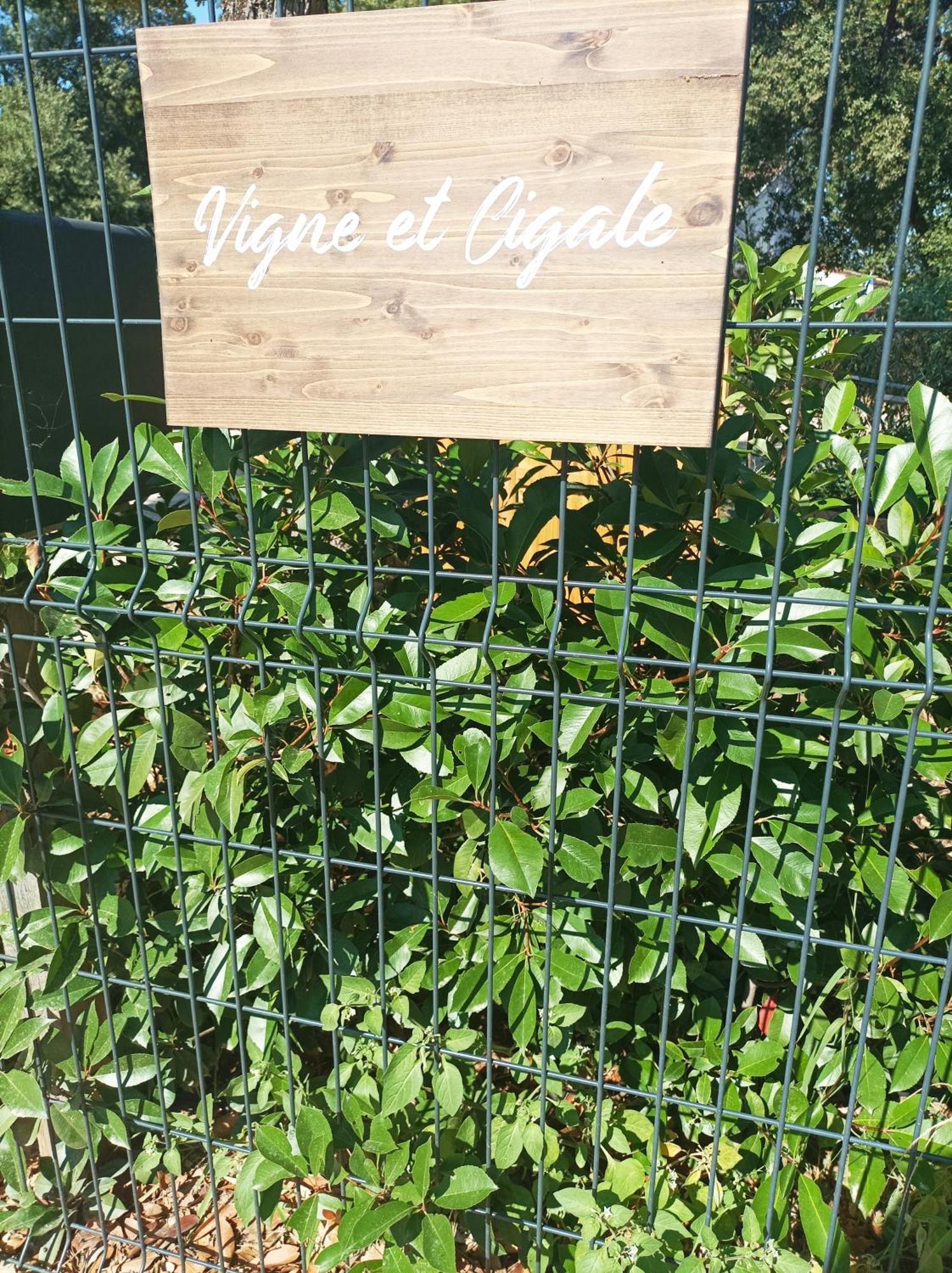 Апартаменти Vigne Et Cigale Ле-Тороне Екстер'єр фото